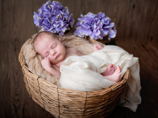 Baby Fotos, Neugeborenen Shooting, Neugeborenen Shooting