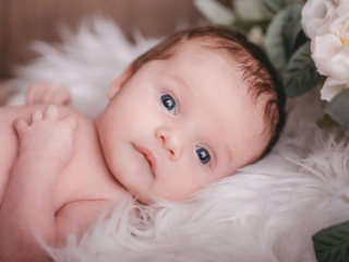 Baby Fotos, Neugeborenen Shooting, Neugeborenen Shooting