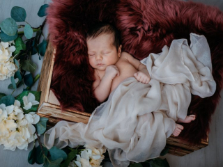 Baby Fotos, Neugeborenen Shooting, Neugeborenen Shooting