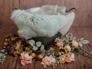 Familien Fotograf, Fotograf für Babyfotos, fotoshooting neugeborene, professionelle Babyfotos