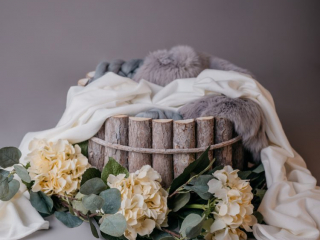 Familien Fotograf, Fotograf für Babyfotos, fotoshooting neugeborene, professionelle Babyfotos