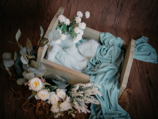 Familien Fotograf, Fotograf für Babyfotos, fotoshooting neugeborene, professionelle Babyfotos