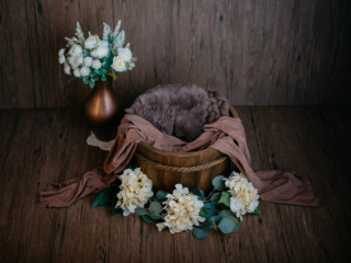 Familien Fotograf, Fotograf für Babyfotos, fotoshooting neugeborene, professionelle Babyfotos