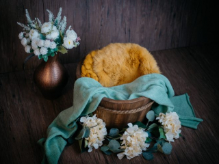 Familien Fotograf, Fotograf für Babyfotos, fotoshooting neugeborene, professionelle Babyfotos