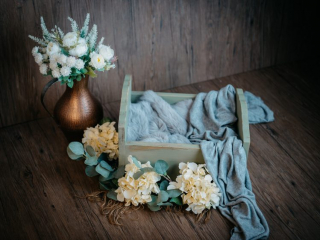 Familien Fotograf, Fotograf für Babyfotos, fotoshooting neugeborene, professionelle Babyfotos
