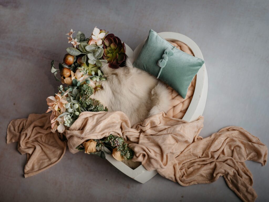 Set mit Körbchen oder Schale, Decken und Accessoires im Fotostudio in Denkendorf